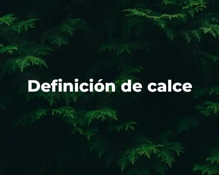 Definición de calce