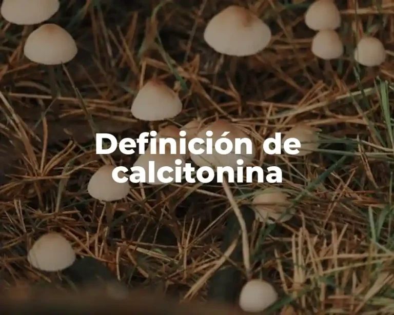 Definición de calcitonina