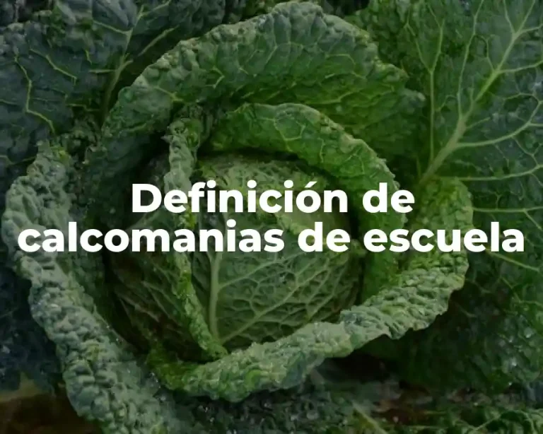 Definición de calcomanias de escuela