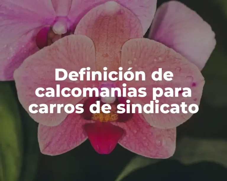 Definición de calcomanias para carros de sindicato