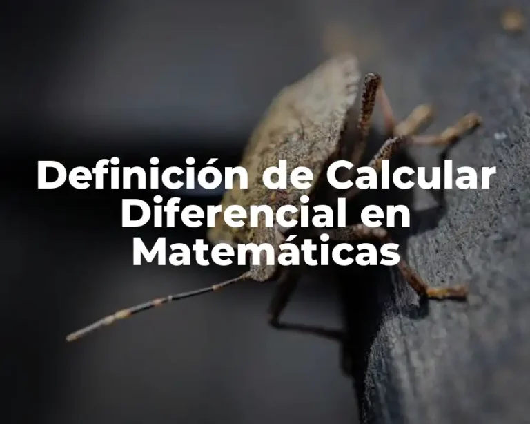 Definición de Calcular Diferencial en Matemáticas