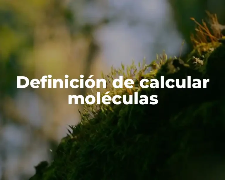 Definición de calcular moléculas