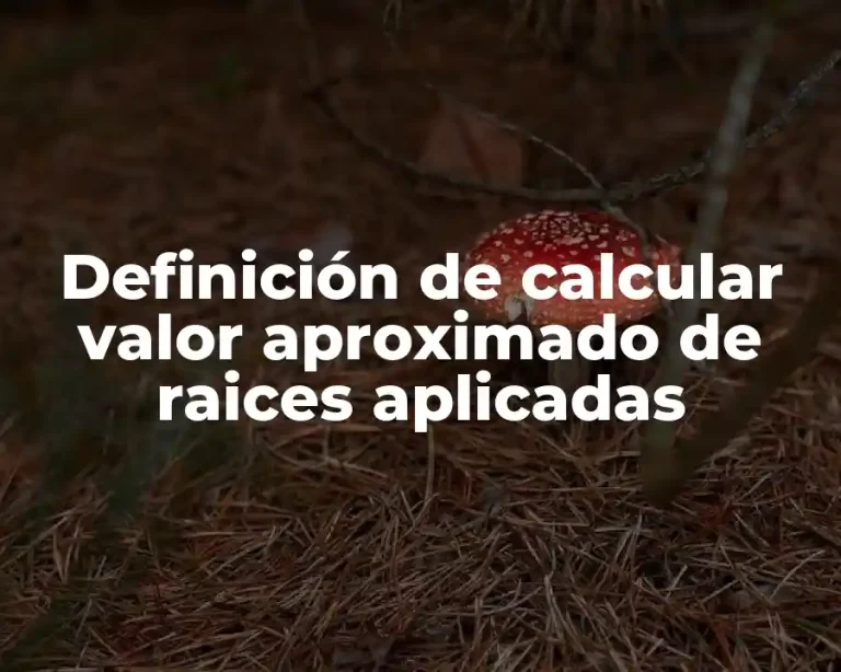Definición de calcular valor aproximado de raices aplicadas