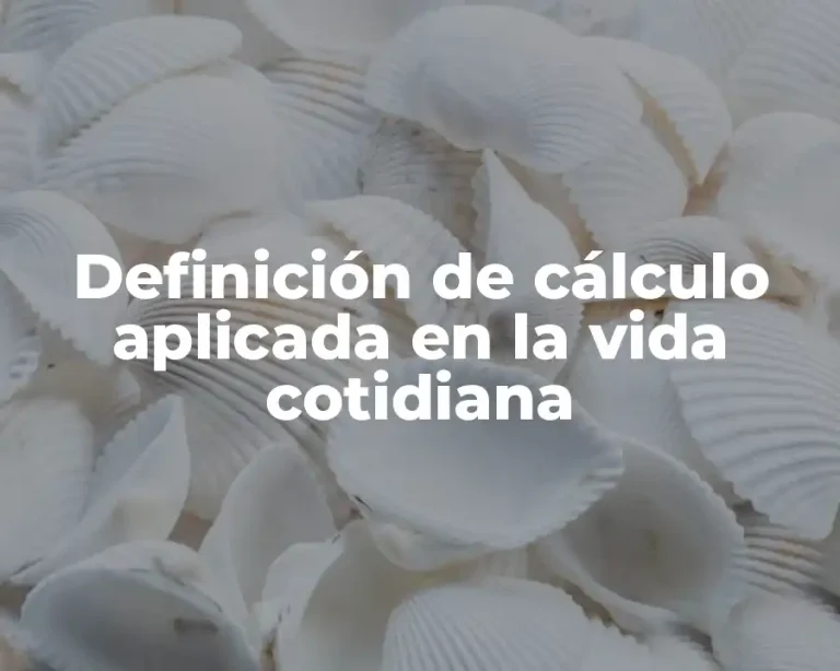 Definición de cálculo aplicada en la vida cotidiana