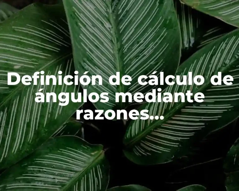 Definición de cálculo de ángulos mediante razones trigonométricas