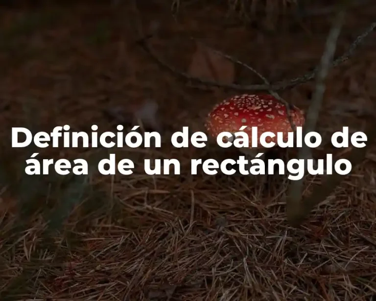 Definición de cálculo de área de un rectángulo