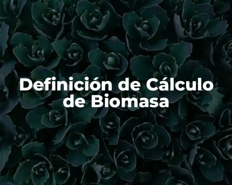 Definición de Cálculo de Biomasa