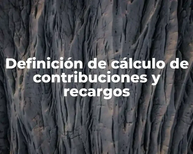 Definición de cálculo de contribuciones y recargos