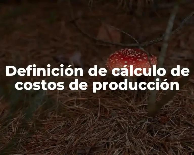 Definición de cálculo de costos de producción