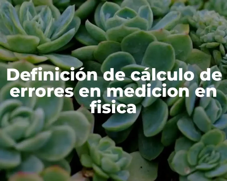 Definición de cálculo de errores en medicion en fisica