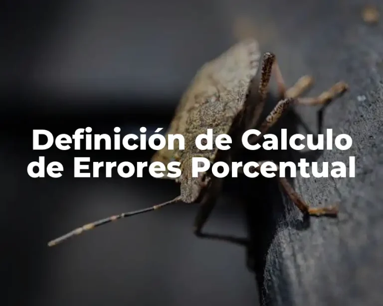 Definición de Calculo de Errores Porcentual