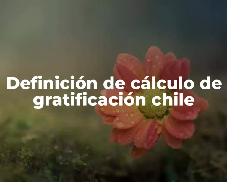 Definición de cálculo de gratificación chile