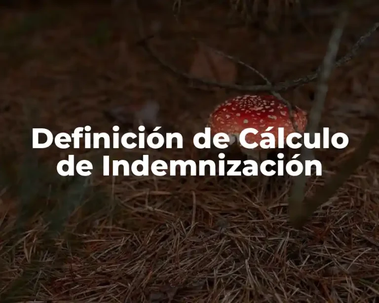 Definición de Cálculo de Indemnización