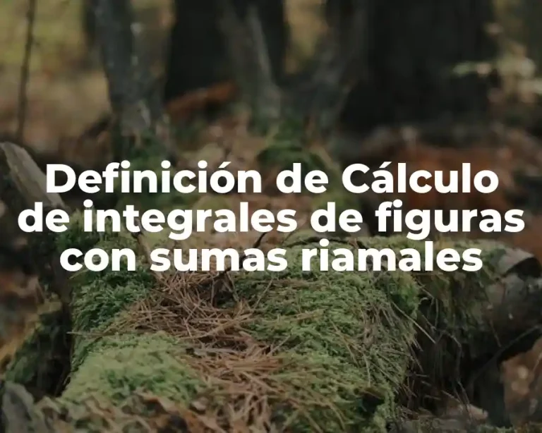 Definición de Cálculo de integrales de figuras con sumas riamales