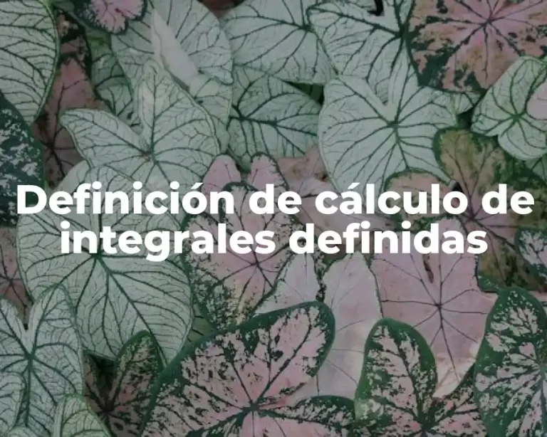 Definición de cálculo de integrales definidas