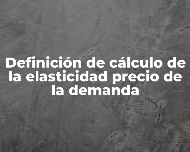Definición de cálculo de la elasticidad precio de la demanda
