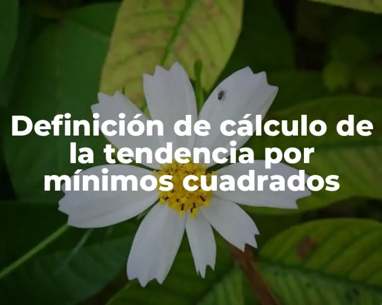 Definición de cálculo de la tendencia por mínimos cuadrados
