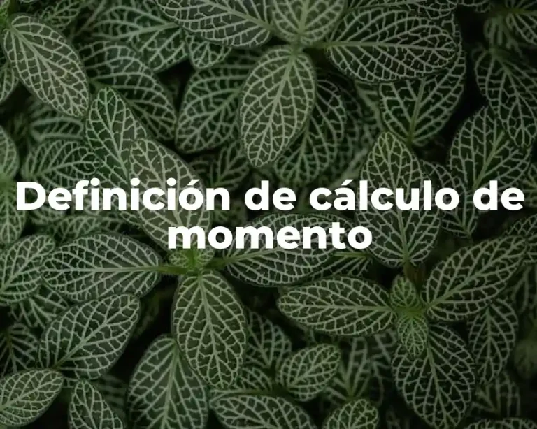 Definición de cálculo de momento