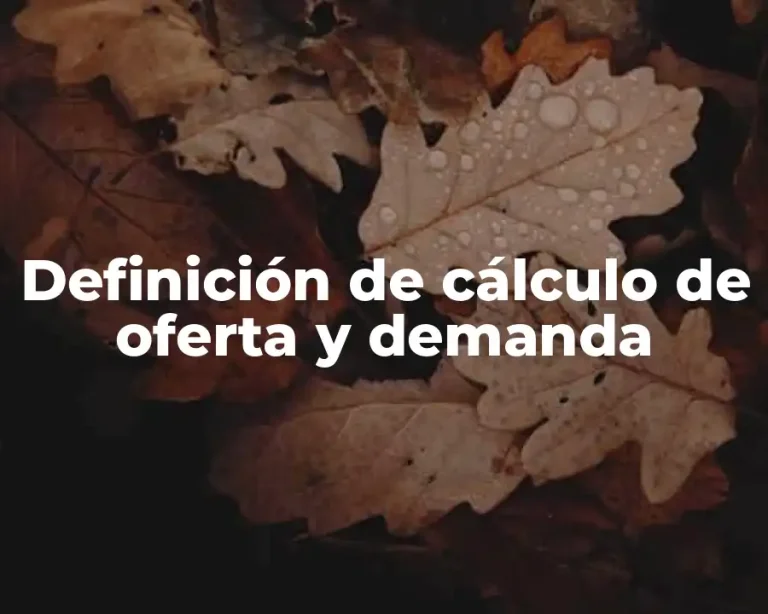 Definición de cálculo de oferta y demanda
