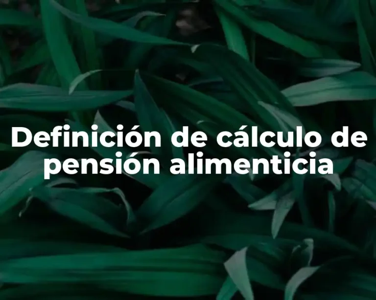 Definición de cálculo de pensión alimenticia