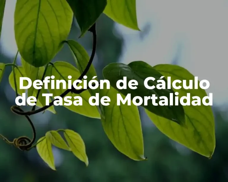 Definición de Cálculo de Tasa de Mortalidad