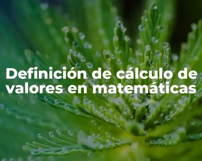 Definición de cálculo de valores en matemáticas