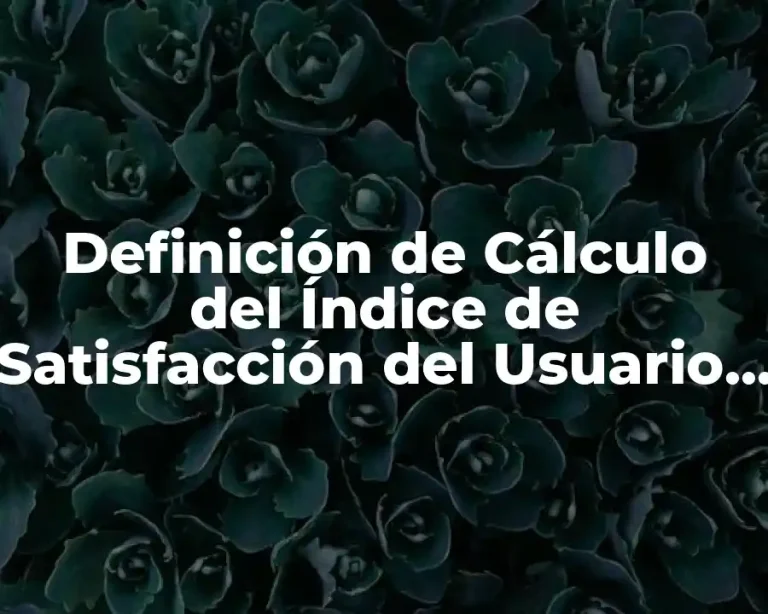 Definición de Cálculo del Índice de Satisfacción del Usuario en Guatemala