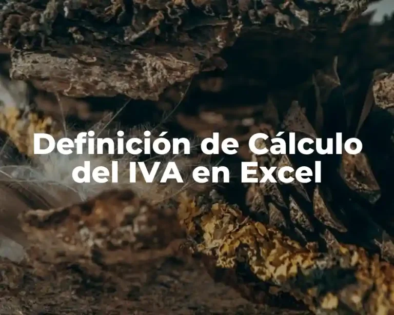 Definición de Cálculo del IVA en Excel