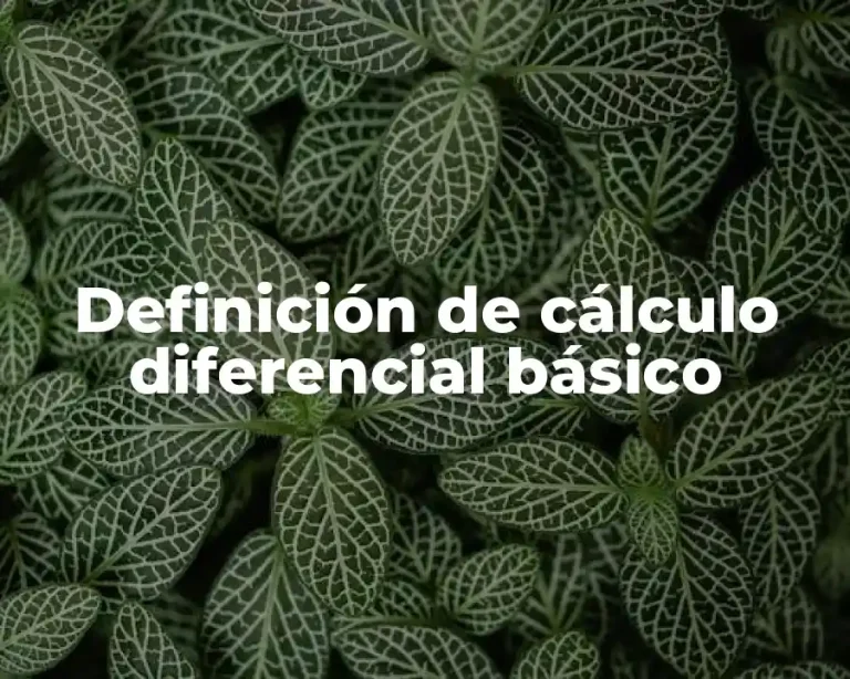Definición de cálculo diferencial básico