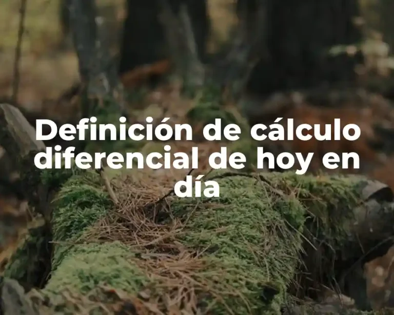 Definición de cálculo diferencial de hoy en día