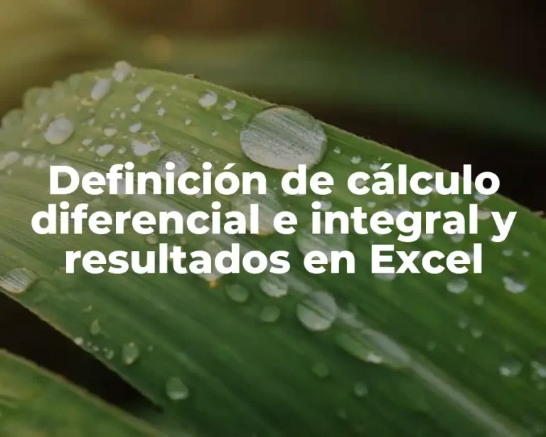 Definición de cálculo diferencial e integral y resultados en Excel