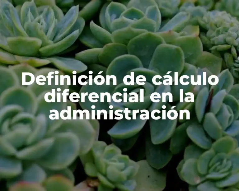 Definición de cálculo diferencial en la administración