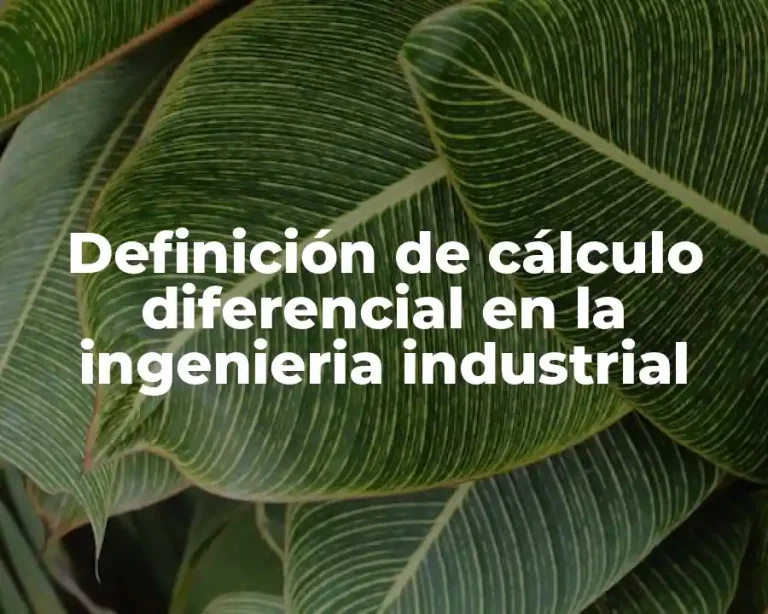 Definición de cálculo diferencial en la ingenieria industrial