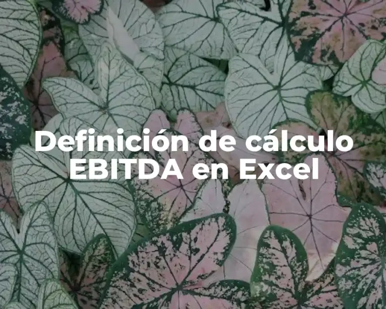 Definición de cálculo EBITDA en Excel