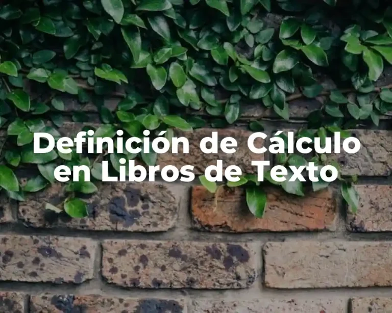 Definición de Cálculo en Libros de Texto