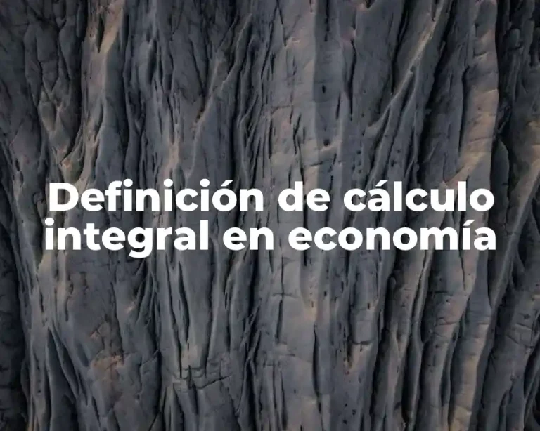 Definición de cálculo integral en economía