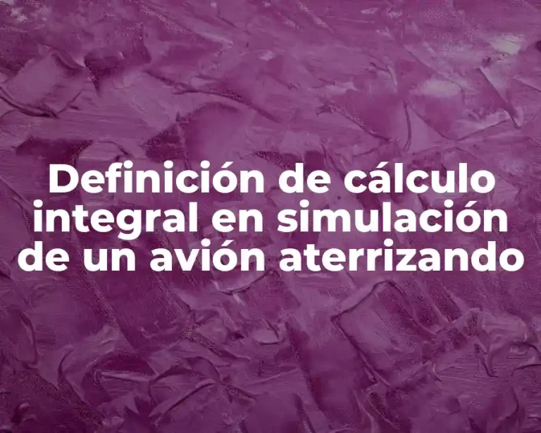 Definición de cálculo integral en simulación de un avión aterrizando