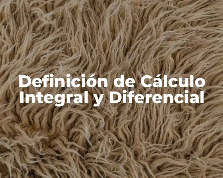 Definición de Cálculo Integral y Diferencial