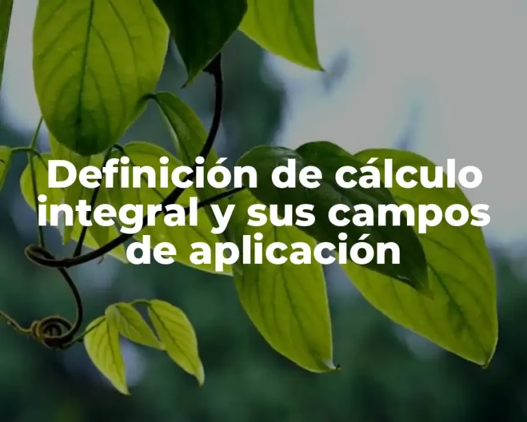 Definición de cálculo integral y sus campos de aplicación