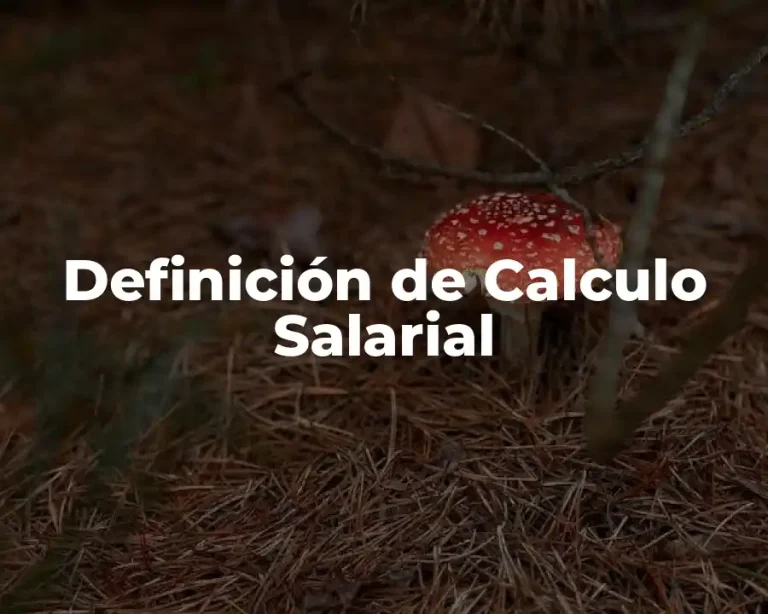 Definición de Calculo Salarial
