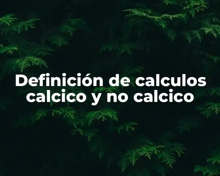 Definición de calculos calcico y no calcico