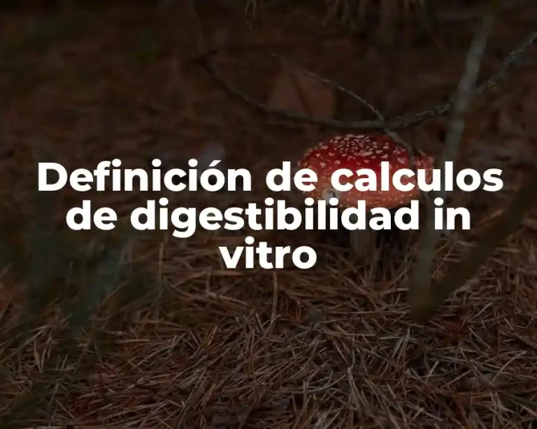 Definición de calculos de digestibilidad in vitro