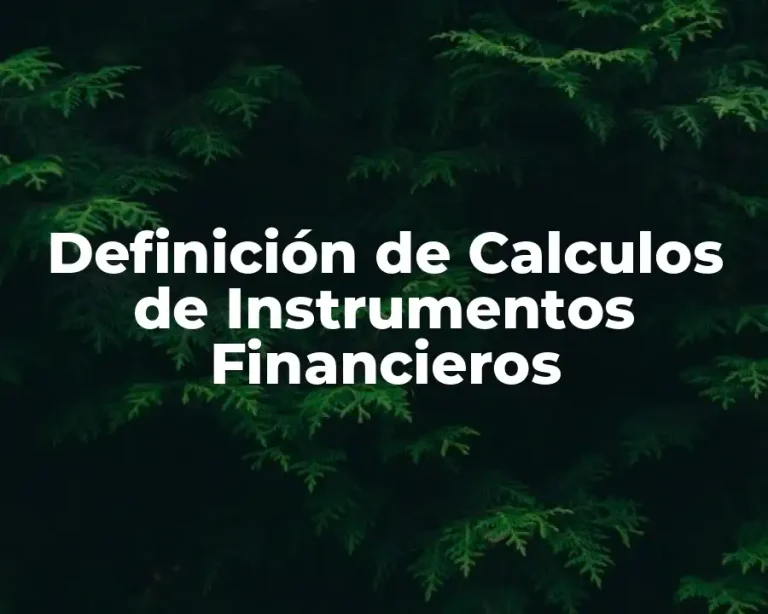 Definición de Calculos de Instrumentos Financieros