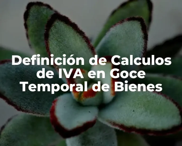Definición de Calculos de IVA en Goce Temporal de Bienes