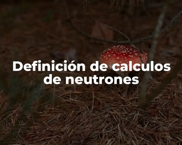 Definición de calculos de neutrones