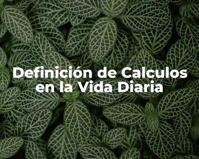 Definición de Calculos en la Vida Diaria