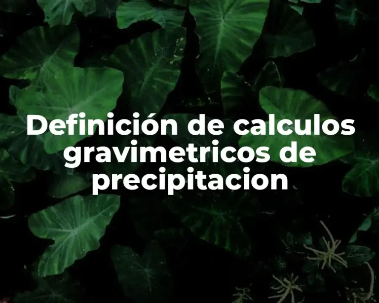 Definición de calculos gravimetricos de precipitacion