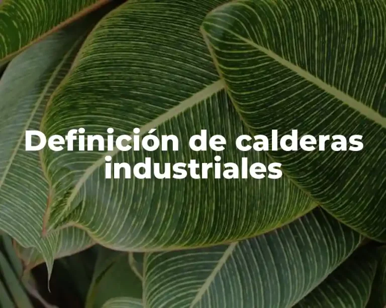 Definición de calderas industriales