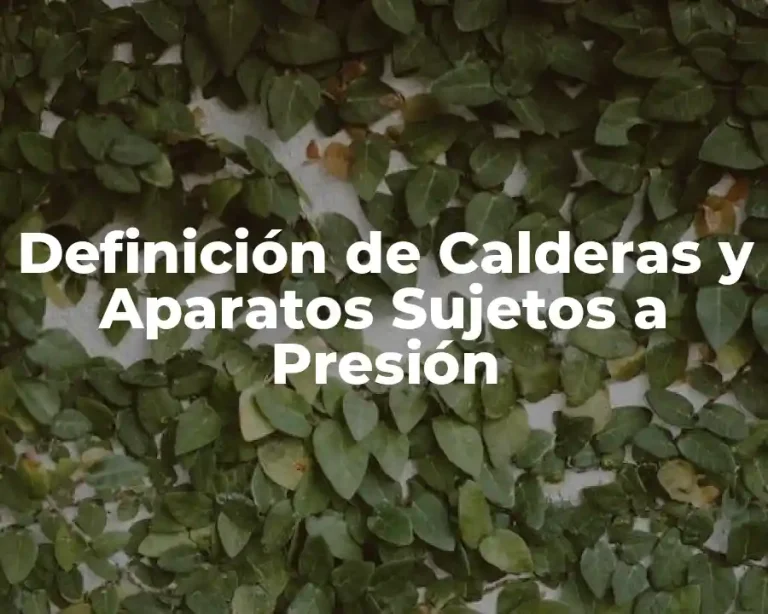 Definición de Calderas y Aparatos Sujetos a Presión