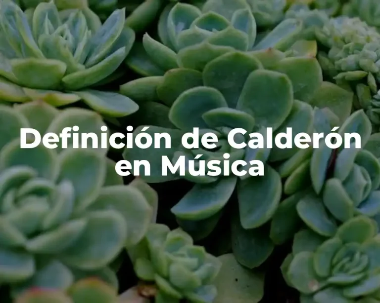 Definición de Calderón en Música